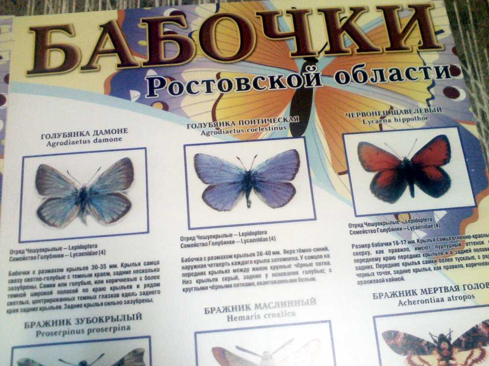 Печать на пластике в Ростове-на-Дону.